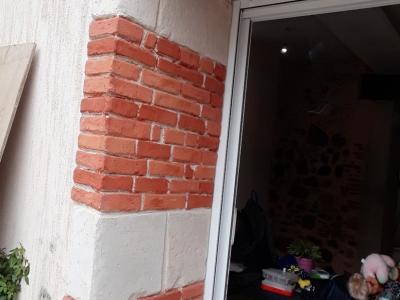 teinte briquette